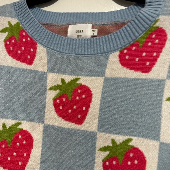 NWT Luna Ivy Anthropologie Strawberry and Blue Checker. Crew Neck Oversized Sm - Picture 11 of 16